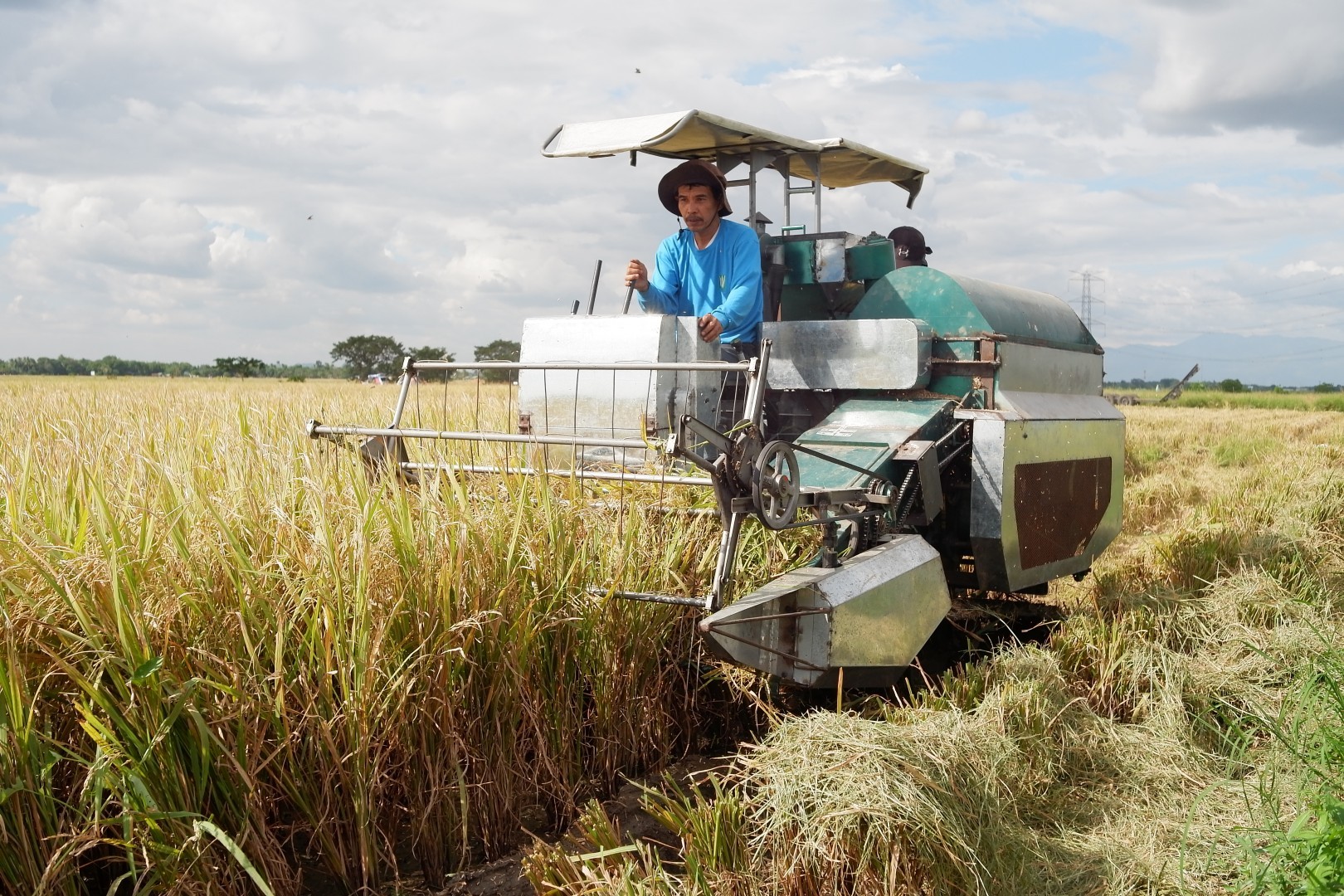 Paddy harvester top
